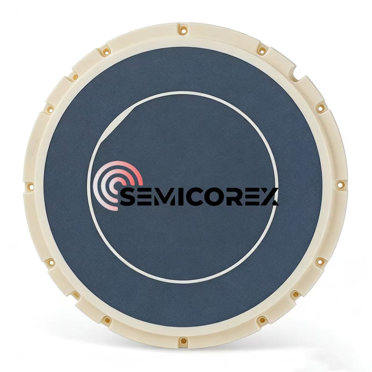 알루미나 세라믹 진공 척