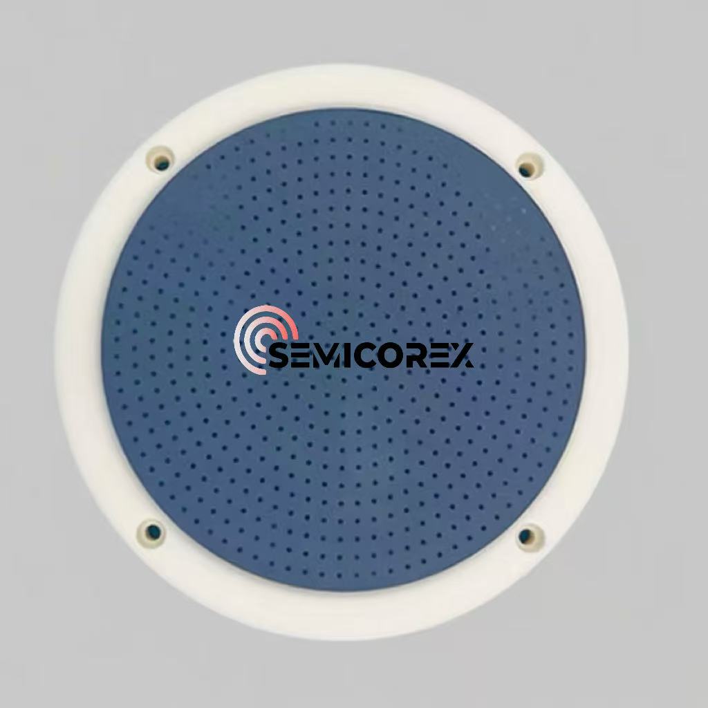 세라믹 정전기 척