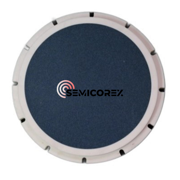 미세다공성 SiC 척