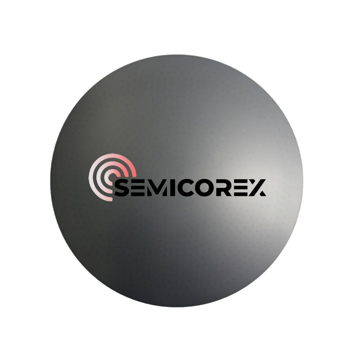 단결정 실리콘 전극